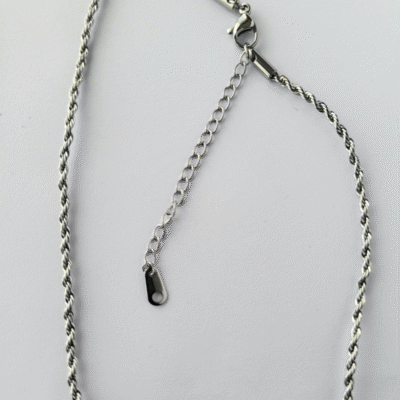 twist Necklace in Silver Colour
